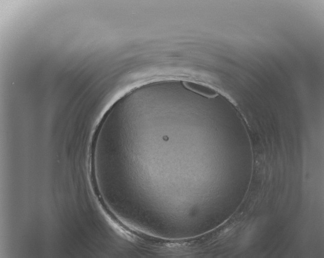 X0000060571523200511101616