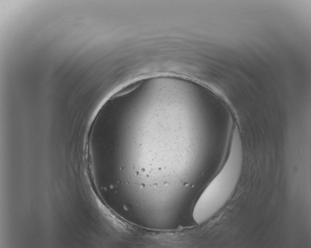 X0000060571524200511101616