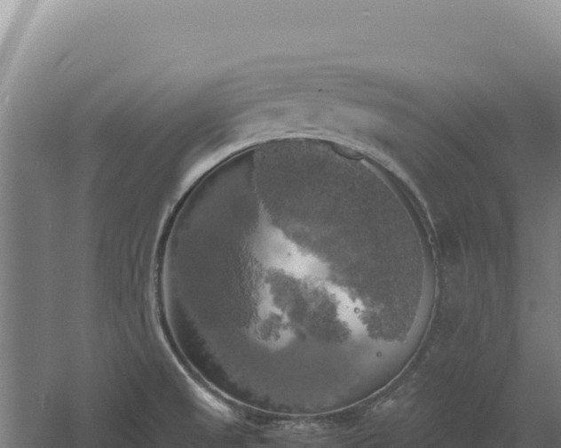 X0000060571525200511101616