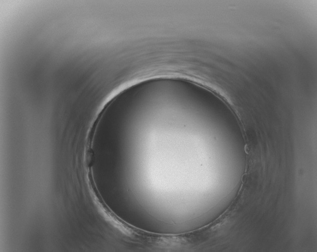 X0000060571526200511101616