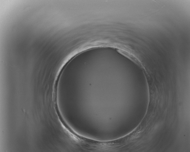 X0000060571527200511101616