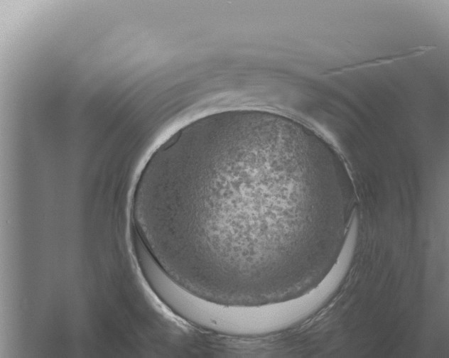 X0000060571528200511101616