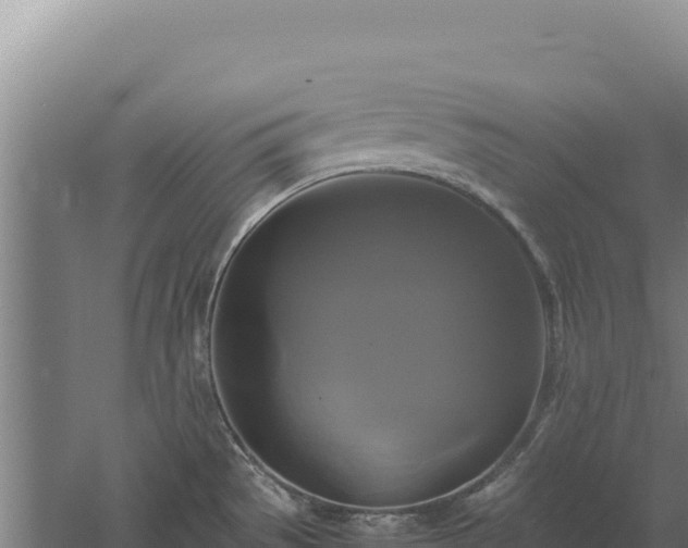 X0000060571529200511101616