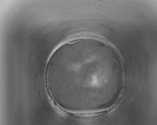 X0000060571530200511101616