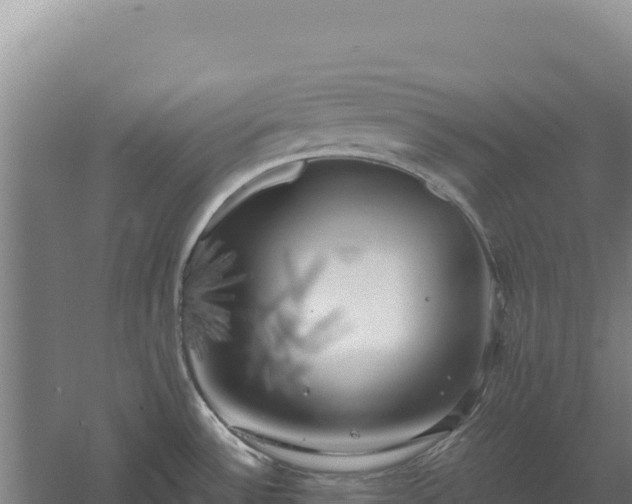 X0000060571532200511101616