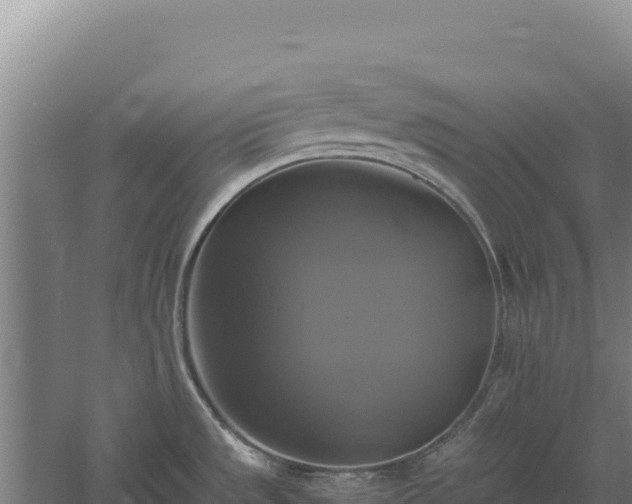 X0000060571533200511101616