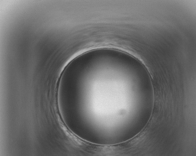 X0000060571534200511101616