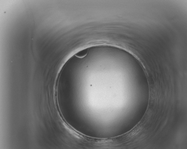 X0000060571535200511101616