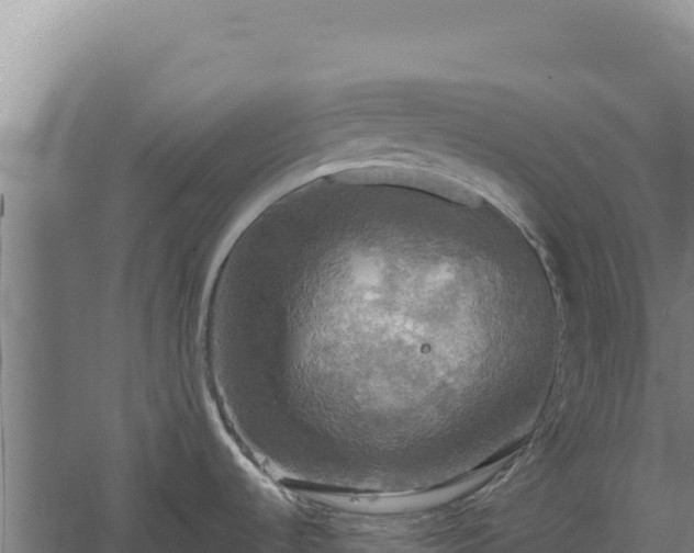 X0000060571536200511101616