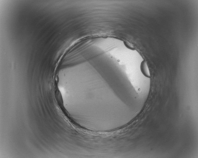 X0000060570002200511171643