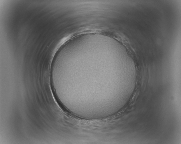 X0000060570003200511171643