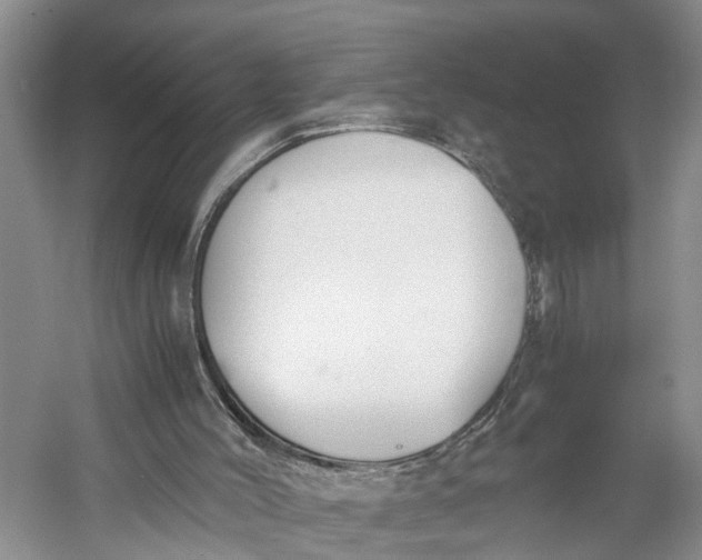 X0000060570004200511171643