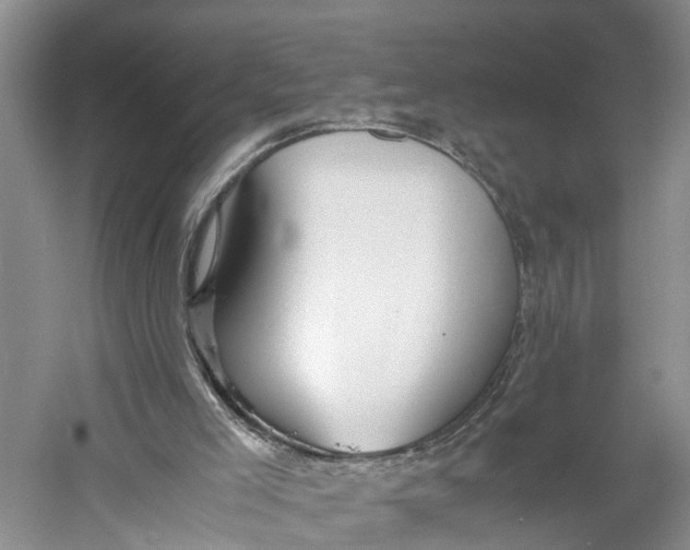 X0000060570005200511171643