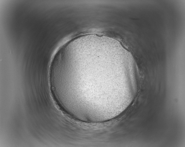 X0000060570006200511171643