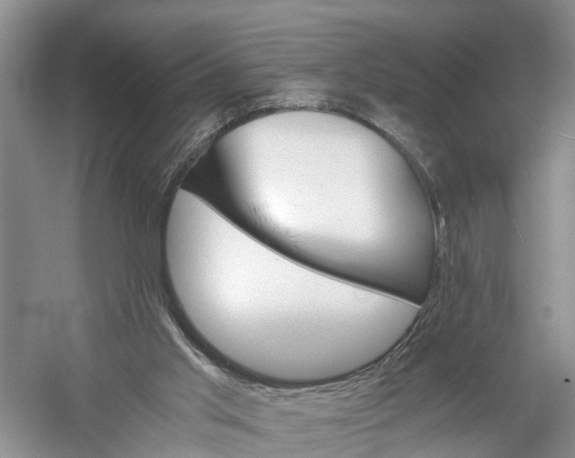 X0000060570013200511171643