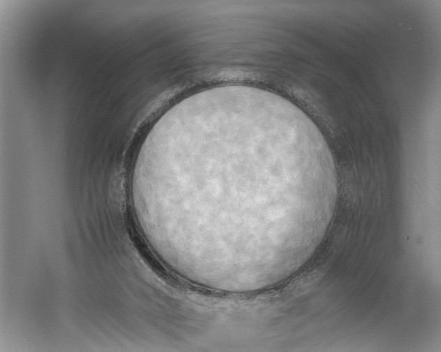 X0000060570016200511171643