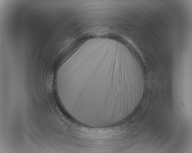 X0000060570018200511171643
