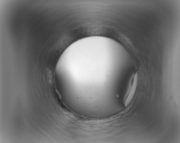 X0000060570025200511171643