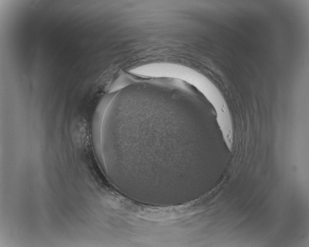 X0000060570029200511171643