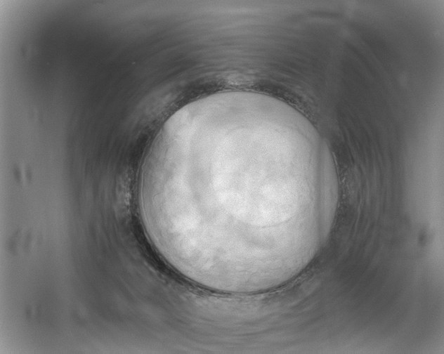 X0000060570032200511171643