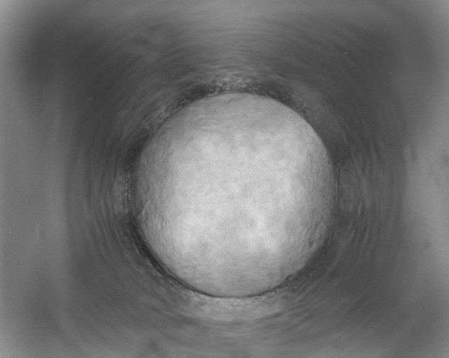 X0000060570034200511171643