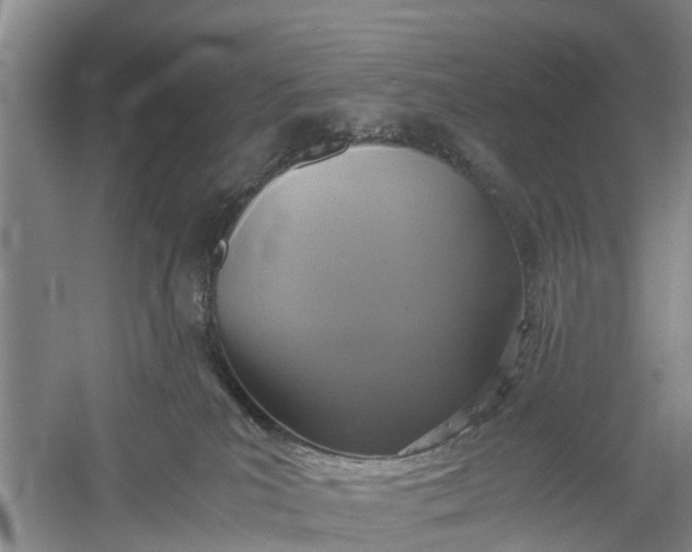 X0000060570039200511171643