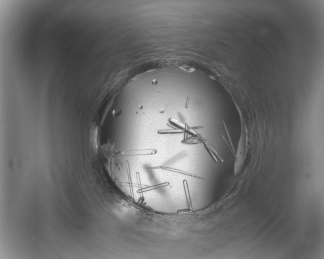 X0000060570041200511171643