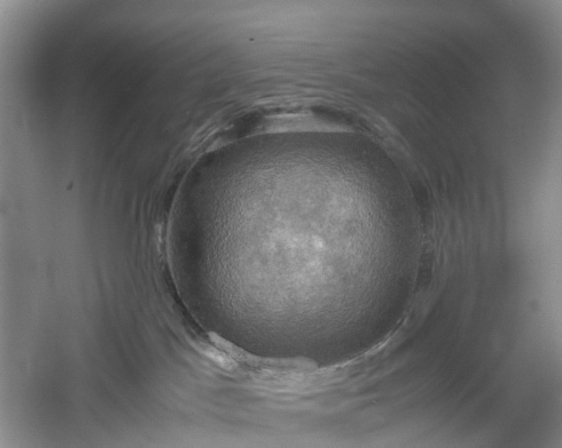 X0000060570045200511171643