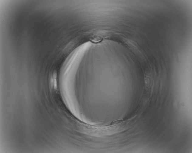 X0000060570046200511171643