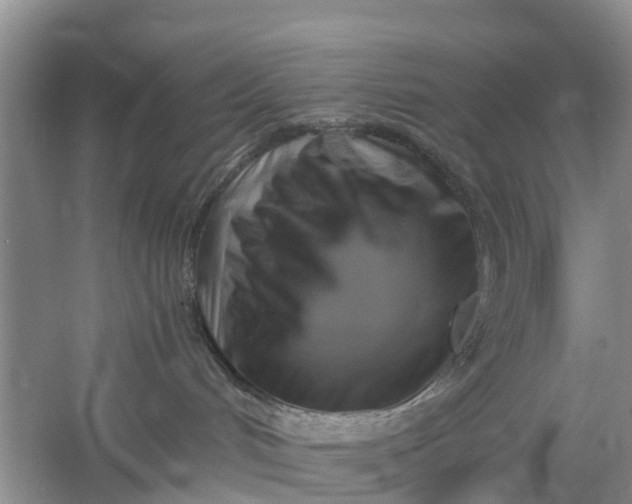 X0000060570048200511171643