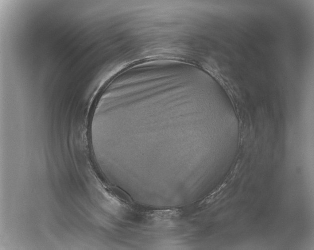 X0000060570050200511171642