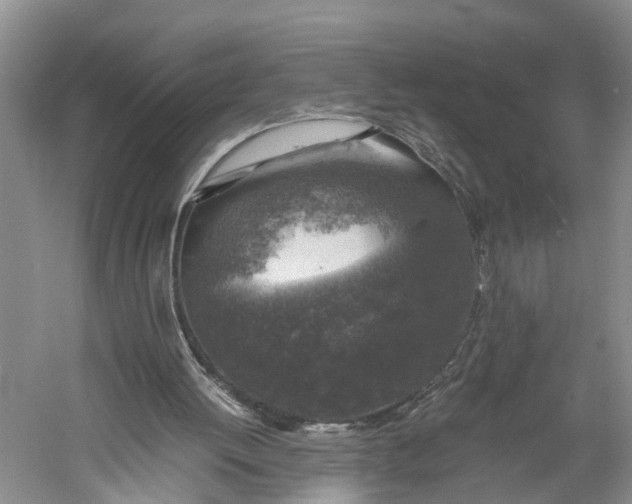 X0000060570052200511171642