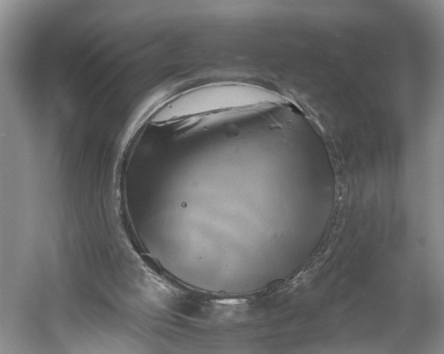 X0000060570053200511171642