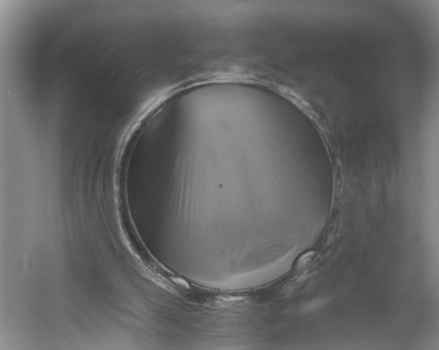 X0000060570055200511171642