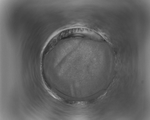 X0000060570056200511171642