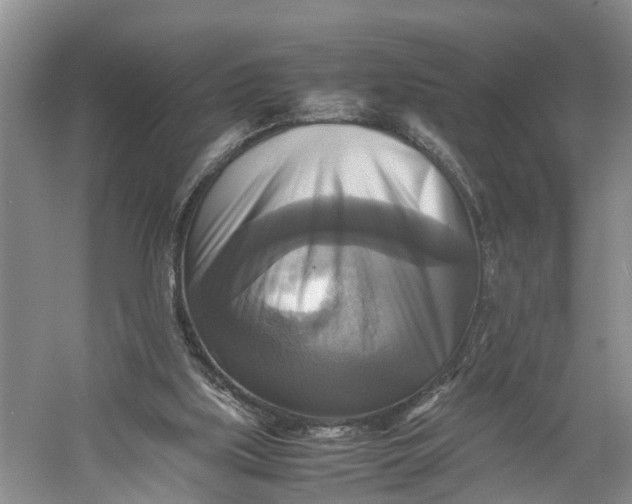 X0000060570059200511171642