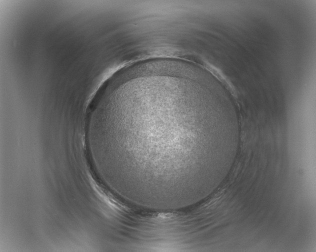 X0000060570060200511171642