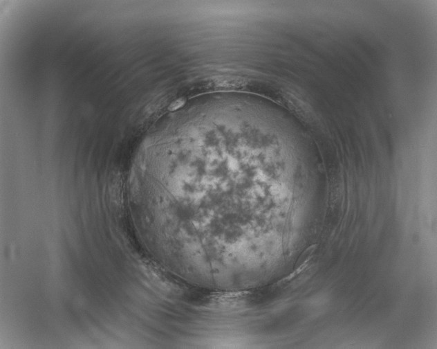 X0000060570078200511171642