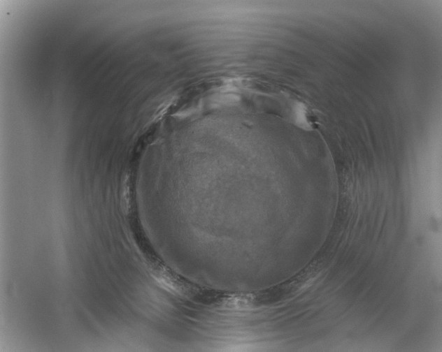 X0000060570080200511171642