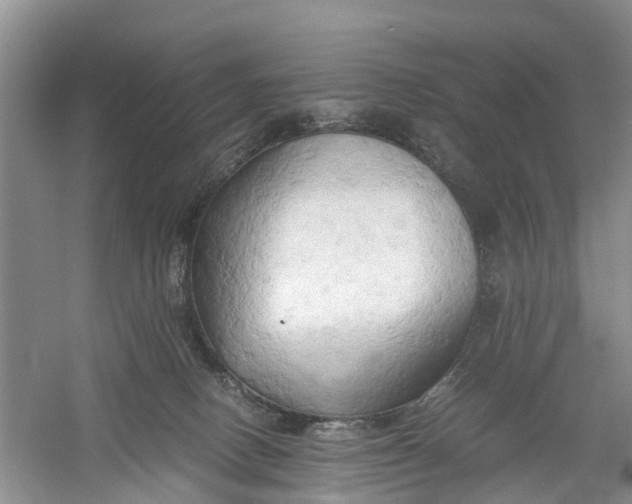 X0000060570082200511171642