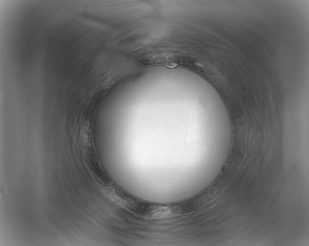 X0000060570083200511171642