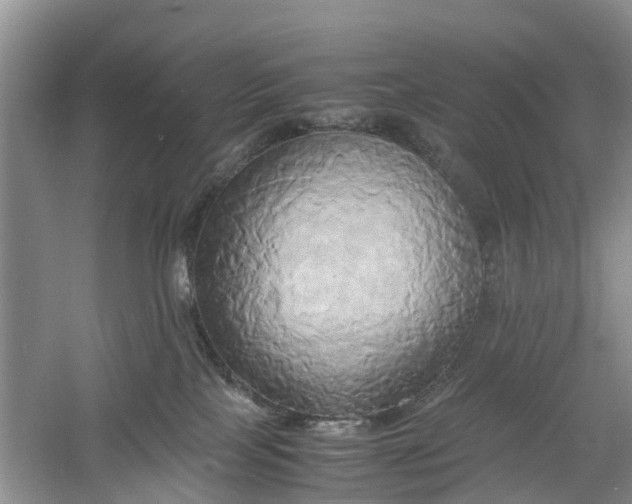 X0000060570089200511171642