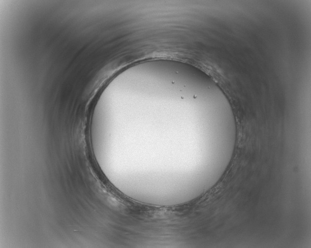 X0000060570098200511171642