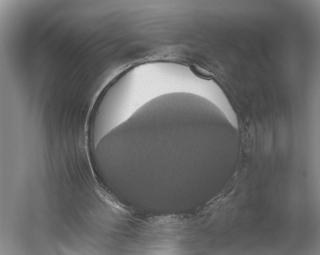 X0000060570100200511171642