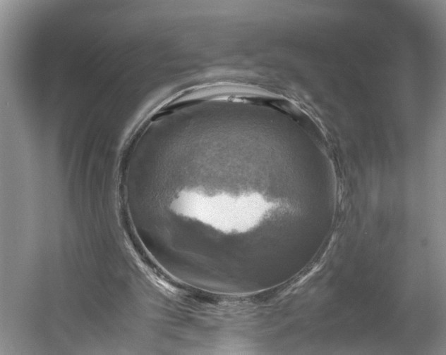 X0000060570101200511171642