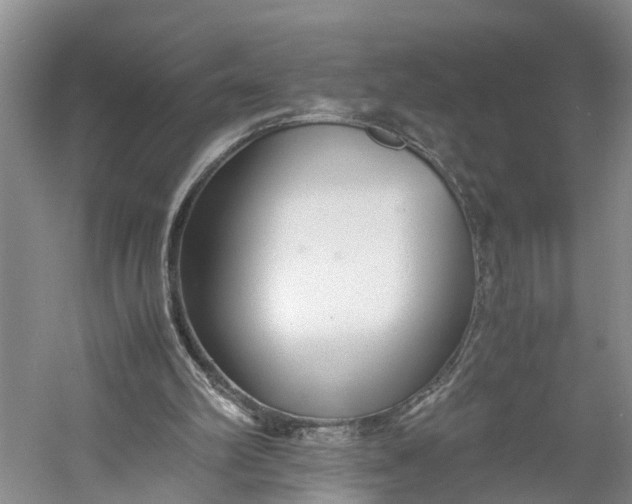 X0000060570102200511171642