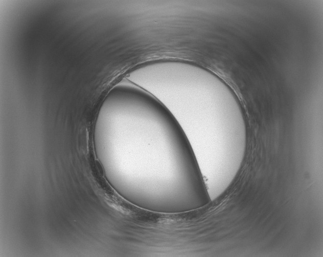 X0000060570109200511171642