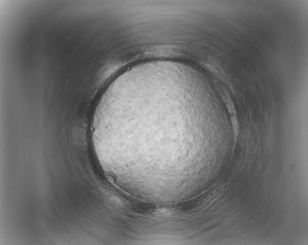 X0000060570111200511171642