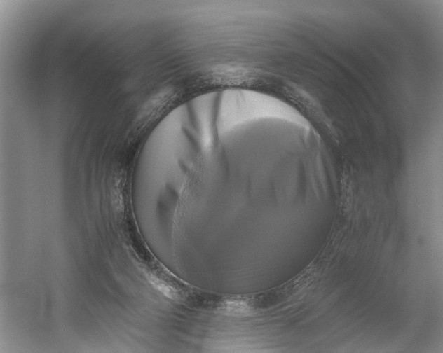 X0000060570114200511171642