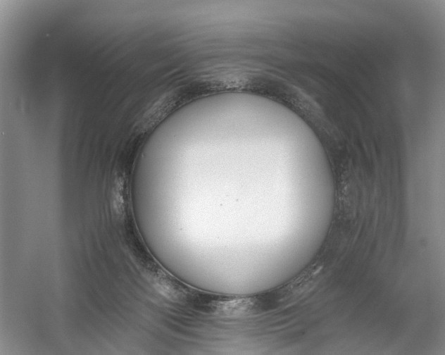 X0000060570122200511171641